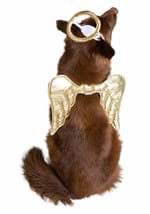 Gold Angel Pet Costume Alt 1