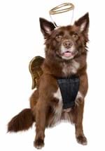 Gold Angel Pet Costume Alt 2