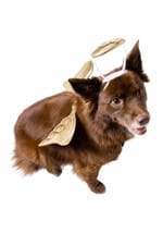 Gold Angel Pet Costume Alt 3