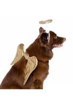 Gold Angel Pet Costume Alt 4