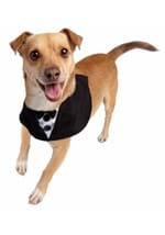Tuxedo Pet Costume Alt 2