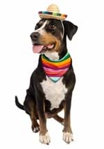 Sombrero & Bandana Pet Costume Set Alt 2