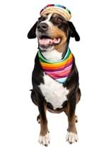 Sombrero & Bandana Pet Costume Set Alt 3