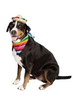 Sombrero & Bandana Pet Costume Set Alt 5