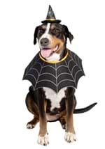 Witch Hat & Collar Pet Set Alt 2
