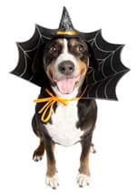 Witch Hat & Collar Pet Set Alt 3