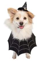 Witch Hat & Collar Pet Set Alt 4
