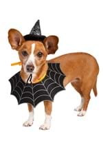 Witch Hat & Collar Pet Set Alt 5