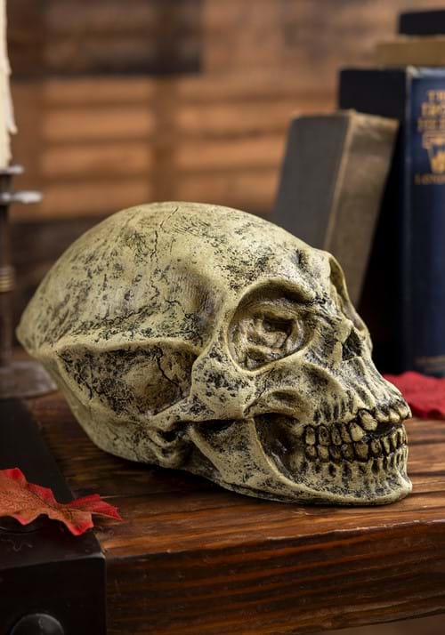 Alien Skull Prop