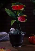 Dancing Corpse Flower Alt 1
