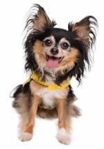 Sesame Street Big Bird Hoodie Pet Costume Alt 1