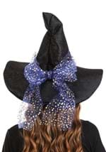 Twilight Witch Hat Adults Alt 3