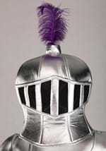 Adult Mascot Knight Costume Alt 1