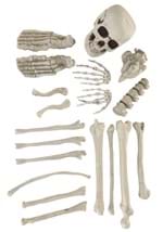 Bag of Bones Halloween Decoration Alt 1