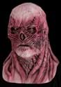 Stranger Things Vecna Mask