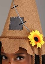 Scarecrow Hat Adult Alt 1
