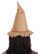 Scarecrow Hat Adult Alt 3