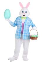 Adult Deluxe Easter Bunny Mascot Costume Alt 5