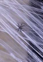 White Spider Web Decoration Alt 2