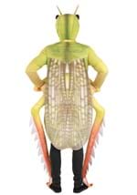 Exclusive Adult Deluxe Grasshopper Costume Alt 1
