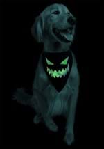 Pet Glow in the Dark Jack O Lantern Bandana Alt 2