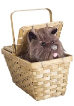 Deluxe Toto with Basket