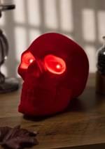 Flocked Velvet Skull Decoration Alt 1