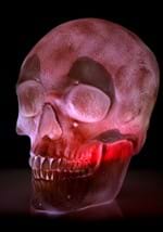 Oversized Skull Lantern Decoration Alt 4