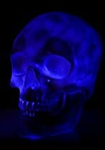 Oversized Skull Lantern Decoration Alt 7