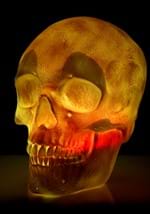 Oversized Skull Lantern Decoration Alt 8
