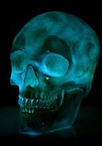 Oversized Skull Lantern Decoration Alt 9