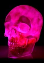 Oversized Skull Lantern Decoration Alt 10