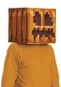 Minecraft Jack OLantern Block Head