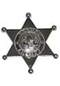 Sheriff Badge