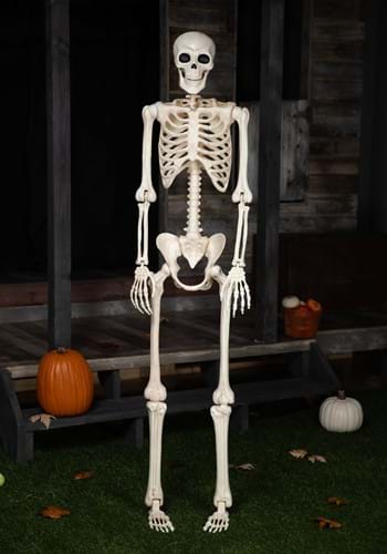 74 Inch Skeleton Decoration new