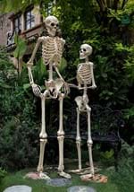 74" Skeleton Alt 2