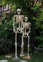 74" Skeleton Alt 3