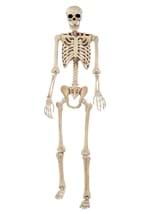 74" Skeleton Alt 6