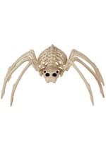 20" Spider 'Skeleton' Alt 1