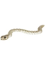 36" Snake Skeleton Alt 1
