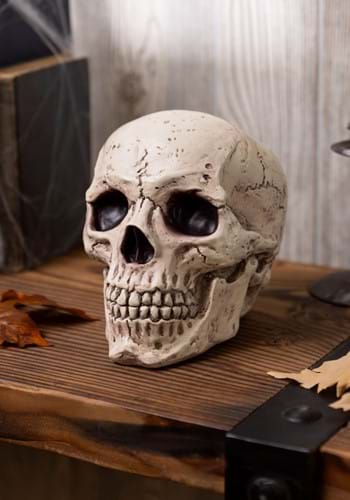 Resin Skull