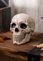 Resin Skull