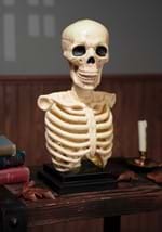 16 Inch Skeleton Bust Decoration with Light and Sound