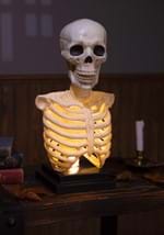 16" Skeleton Bust with Light and Sound Alt 1
