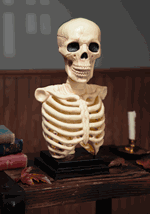 16" Skeleton Bust with Light and Sound Alt 2