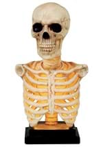 16" Skeleton Bust with Light and Sound Alt 3