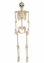 Deluxe Flaming Light Up Eyes & Talking Skeleton Alt 4