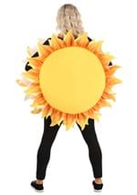 Adult Sun Costume Alt 1