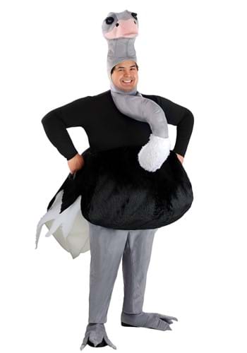 Plus Size Ostrich Costume