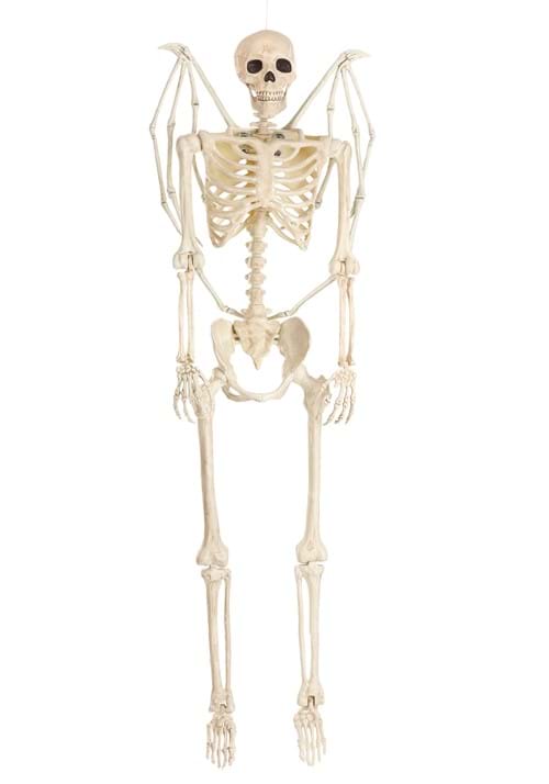 5FT Poseable Winged Skeleton Decoration